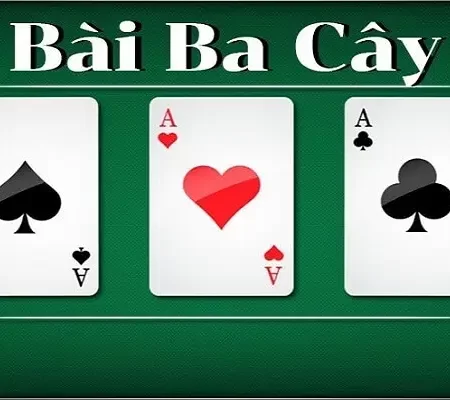 Những nhà cái uy tín tại Việt Nam được lựa chọn nhiều