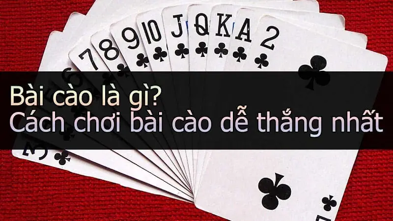 giới thiệu tổng quát về bài cào