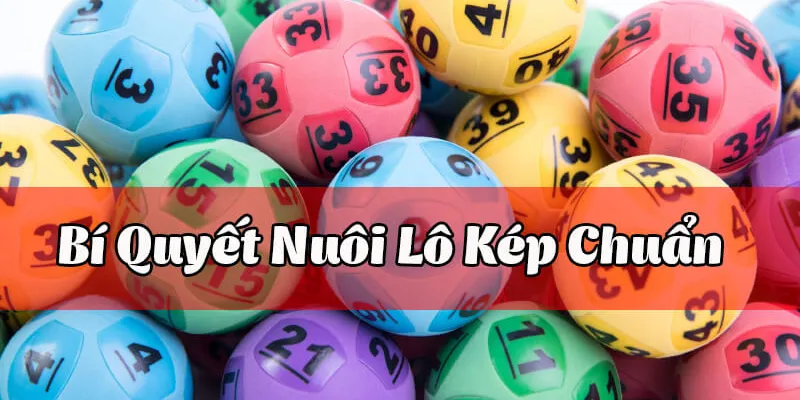 Bí quyết nuôi lô kép chuẩn