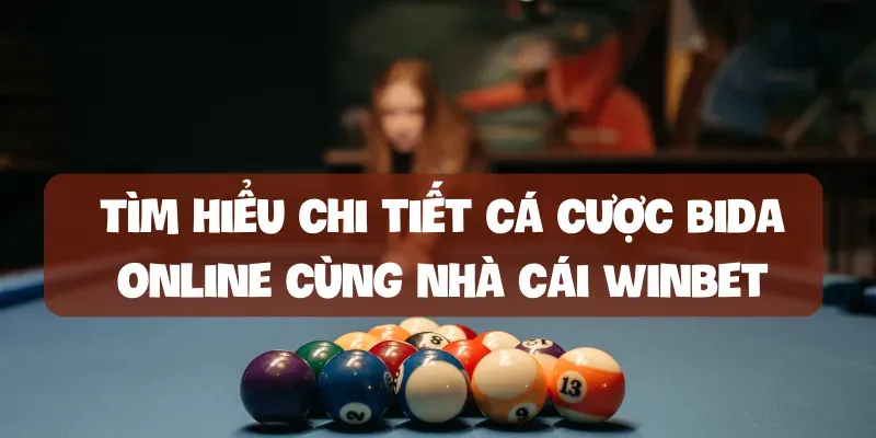 Cá cược bida online như thế nào
