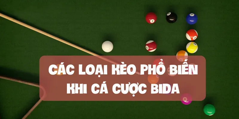 Các loại kèo phổ biến khi cá cược Bida