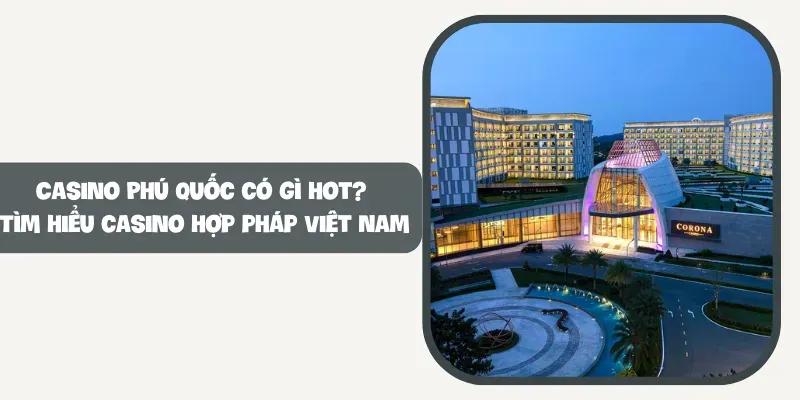 Dịch vụ đẳng cấp