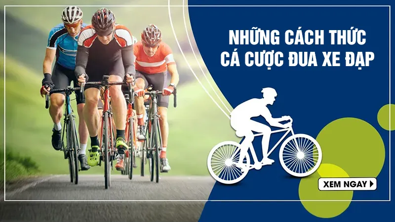 Những cách thức cá cược