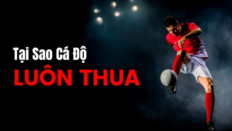 Chuyên gia giải thích lý do vì sao cá độ bóng đá luôn thua