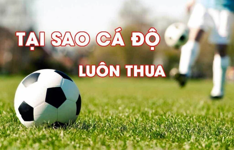 Nhà cái luôn là người chiến thắng trước khi người chơi tham gia cược