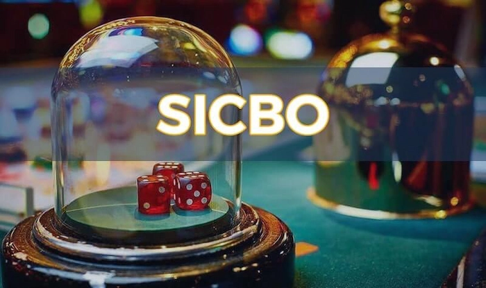 Sic Bo Là Gì? Giới Thiệu Sơ Lược Về Trò Chơi Sic Bo