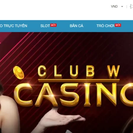 Đại lý W88 – Thông tin chi tiết về chính sách và cách tham gia