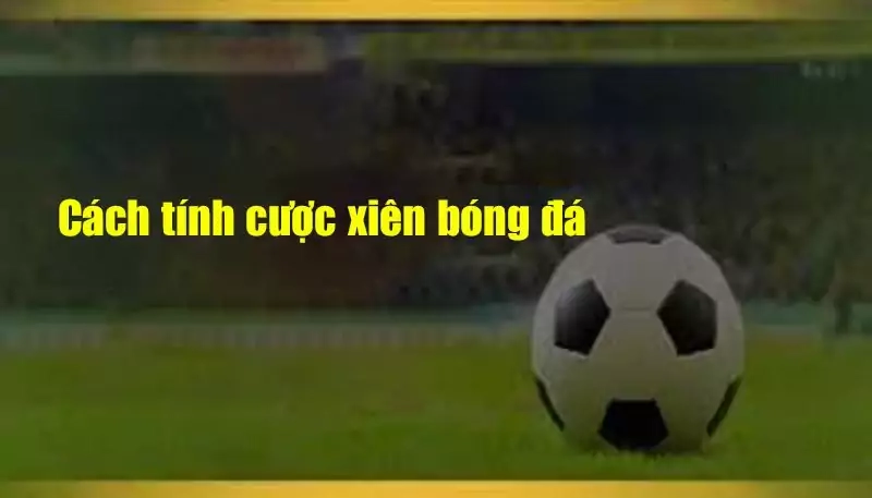 Cách Tính Kèo Cược Xiên Trong W88