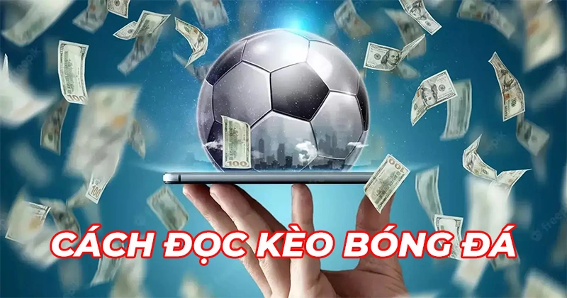 Giới Thiệu Về Cách Xem Kèo Bóng Đá W88