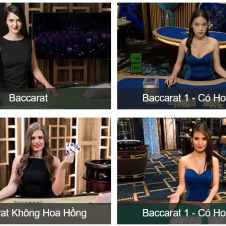Đại Lý W88 – Hợp Tác Cùng Sự Phát Triển Nhà Cái Uy Tín