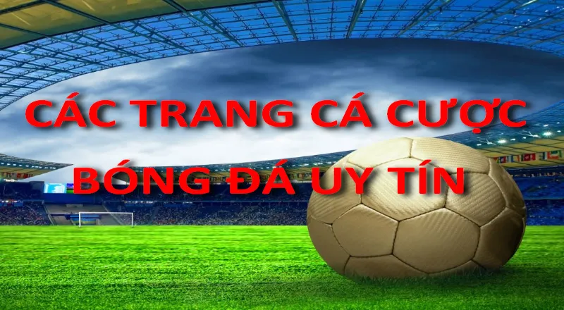 Nhà cái uy tín cung cấp đa dạng kèo cược
