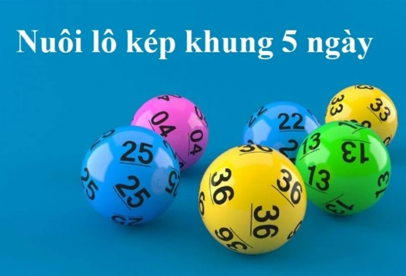 Khái niệm về hình thức lô kép khung 5 ngày trong lô đề