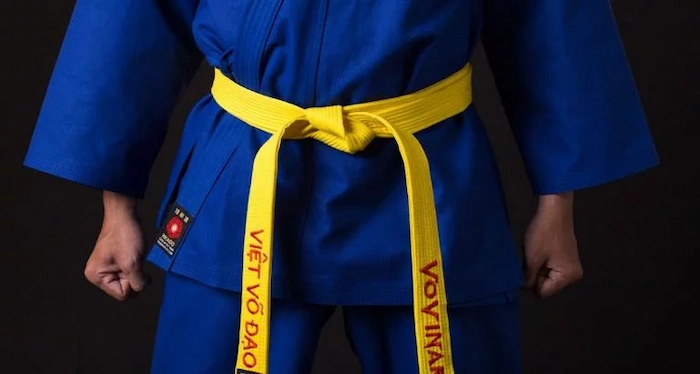 Những Đai Trong Vovinam Là Gì?