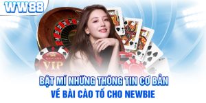 Bật Mí Những Thông Tin Cơ Bản Về Bài Cào Tố Cho Newbie