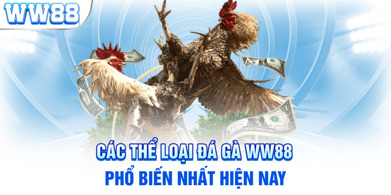 Các thể loại đá gà WW88 phổ biến nhất hiện nay