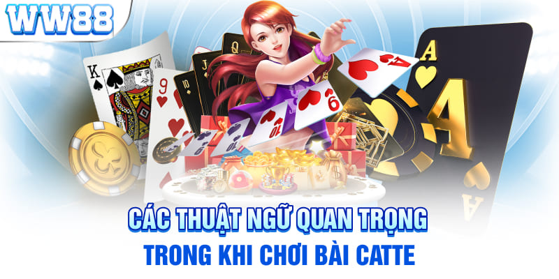 Các thuật ngữ quan trọng trong khi chơi bài catte