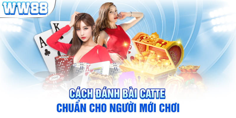 Cách đánh bài catte chuẩn cho người mới chơi