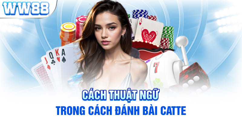 Các thuật ngữ trong cách đánh bài catte