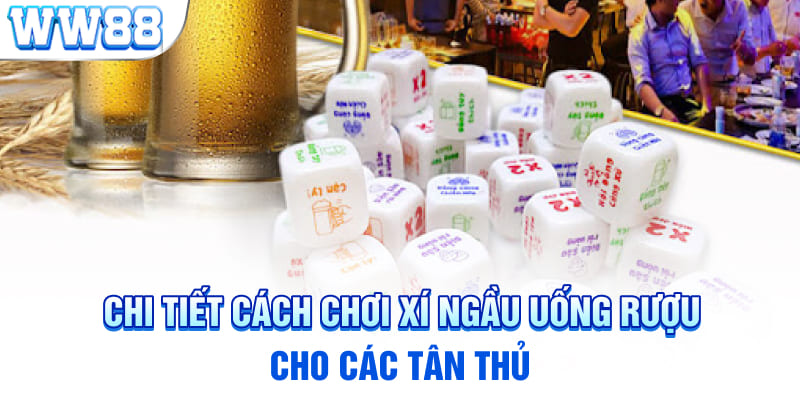 Chi tiết cách chơi xí ngầu uống rượu cho các tân thủ