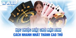 Học Thuộc Luật Chơi Mậu Binh - Cách Nhanh Nhất Thành Cao Thủ