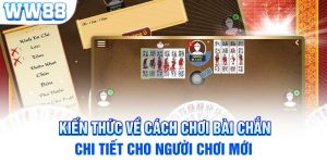 Kiến Thức Về Cách Chơi Bài Chắn Chi Tiết Cho Người Chơi Mới