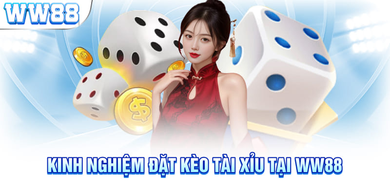 Kinh nghiệm đặt kèo tài xỉu tại WW88