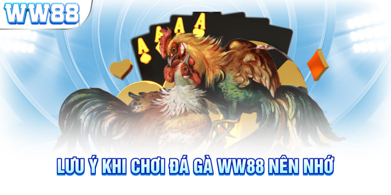 Lưu ý khi chơi đá gà WW88 nên nhớ