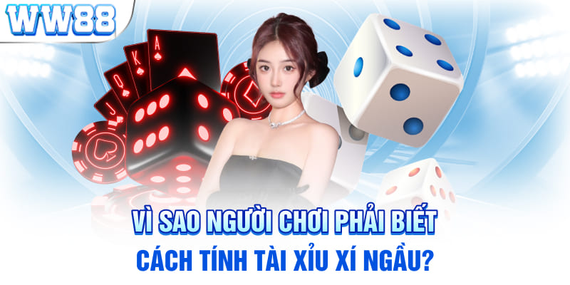 Vì sao người chơi phải biết cách tính tài xỉu xí ngầu?